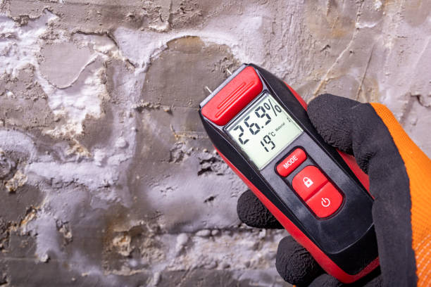 Water Damage Restoration in Sloan, IA